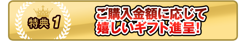 ご購入金額で嬉しいギフトをご用意しております