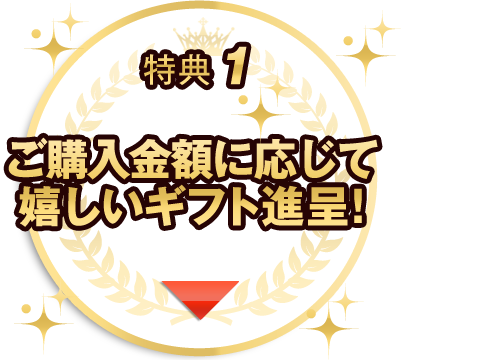 ご購入金額に応じてご購入特典プレゼント